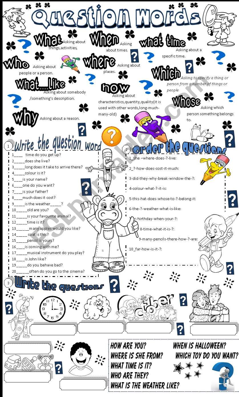 questions words worksheet