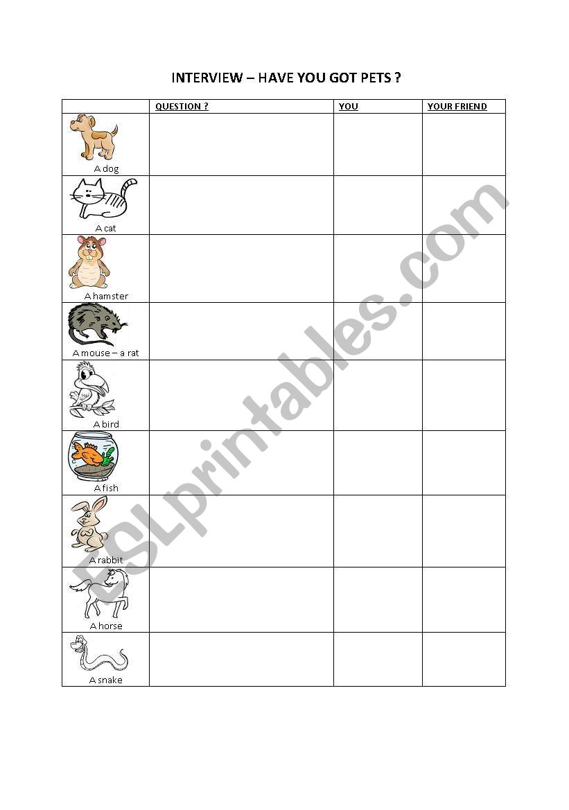 have you got pets worksheet