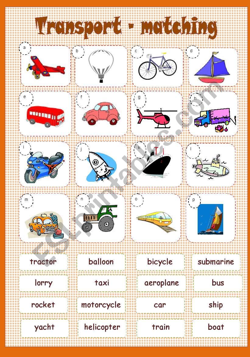 TRANSPORT MATCHING worksheet