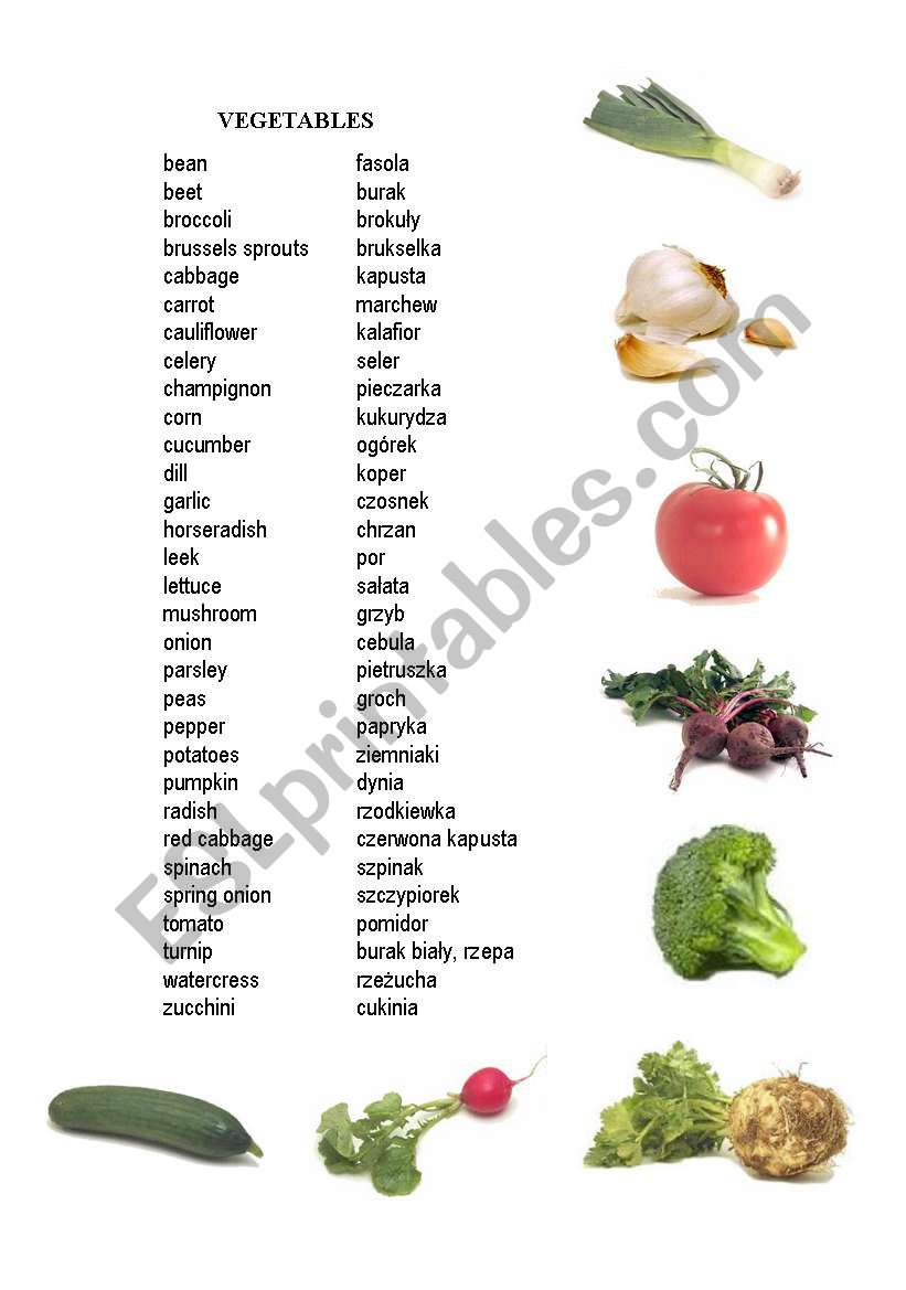 Vegetables worksheet