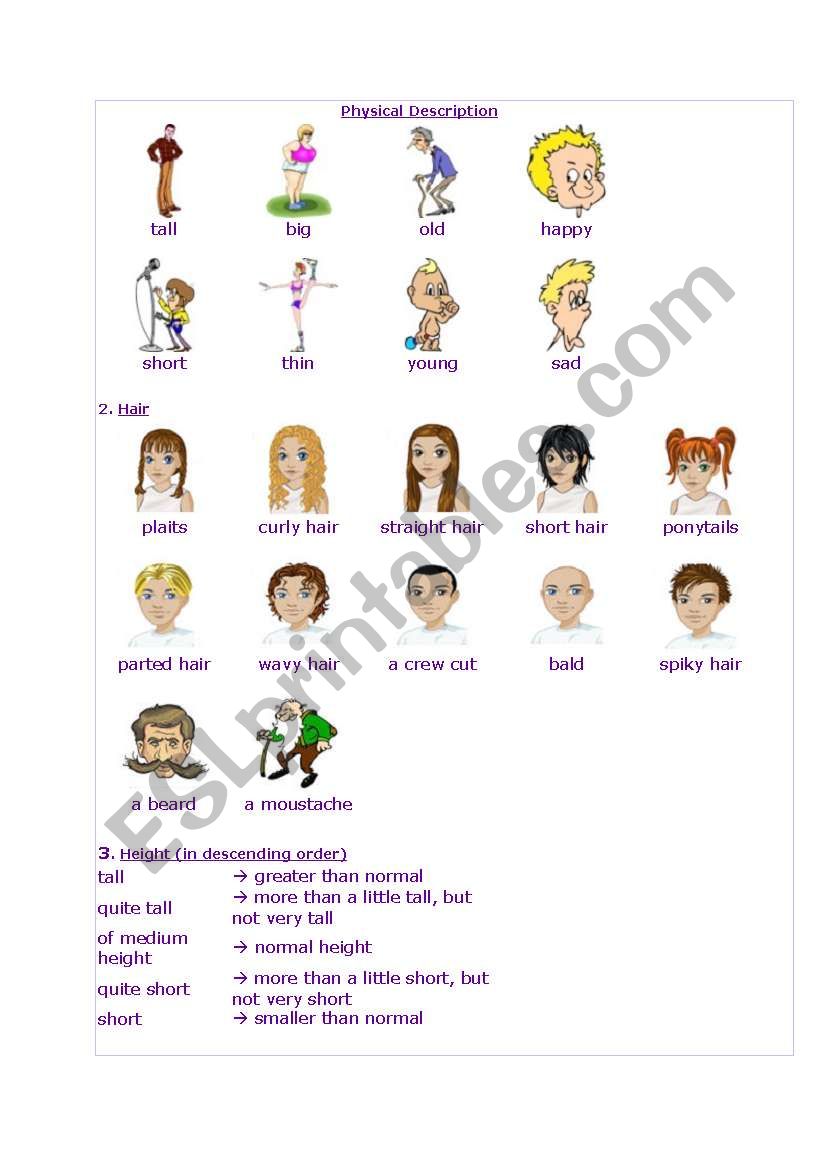 physical description worksheet