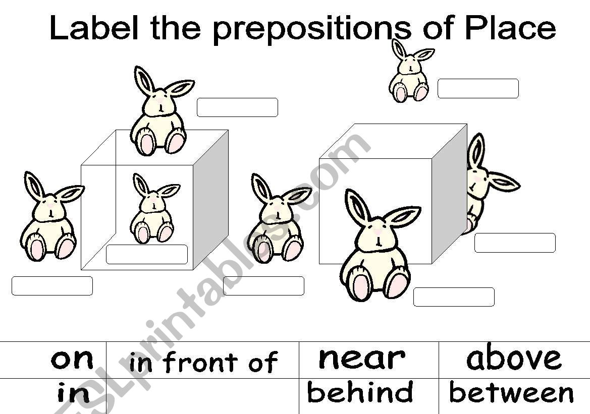 Label the Prepositions of the place