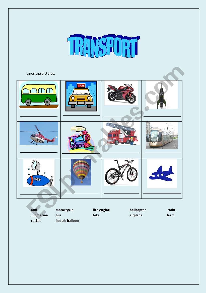 transport worksheet