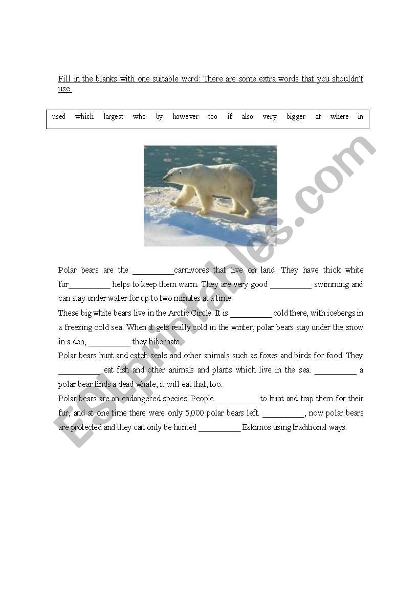 Polar Bears worksheet