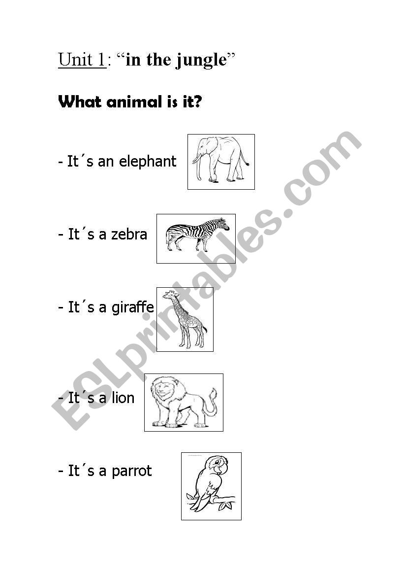 what animal is it? worksheet