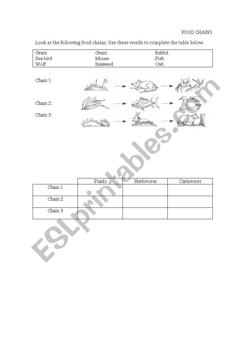 ECOSYSTEMS worksheet