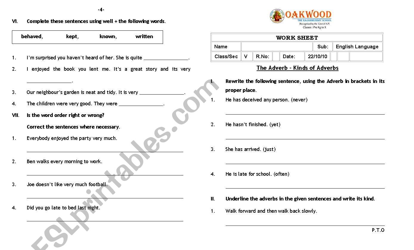 Kinds of Verbs worksheet