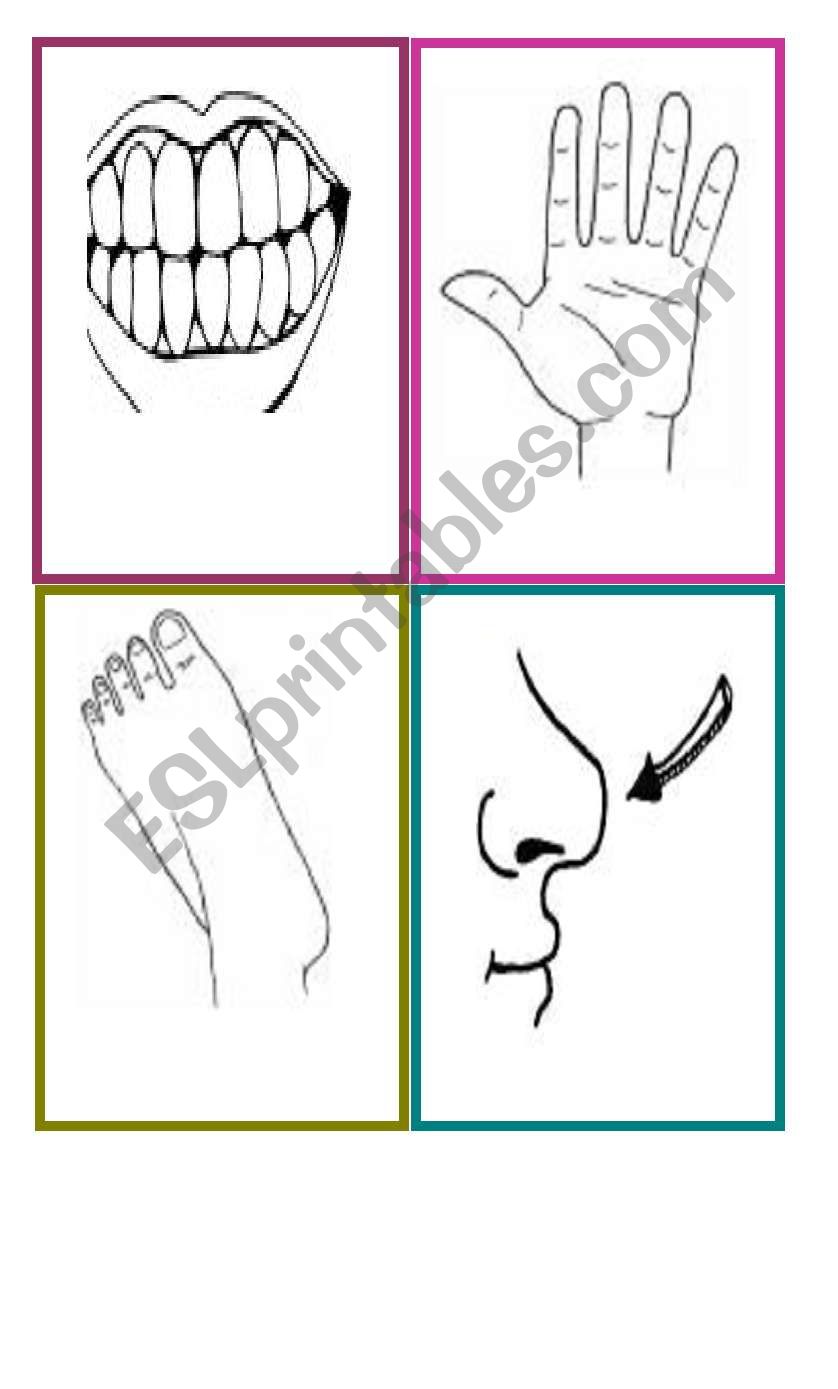 BODY PARTS worksheet