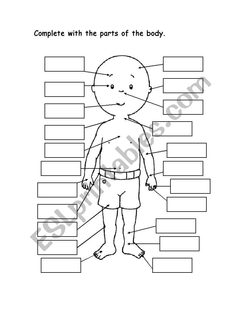 Parts of the body. worksheet