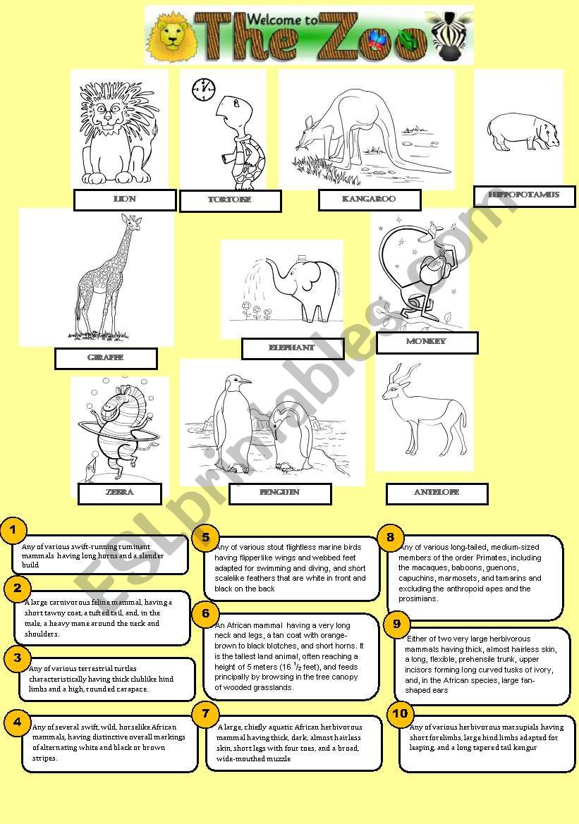 Animals worksheet