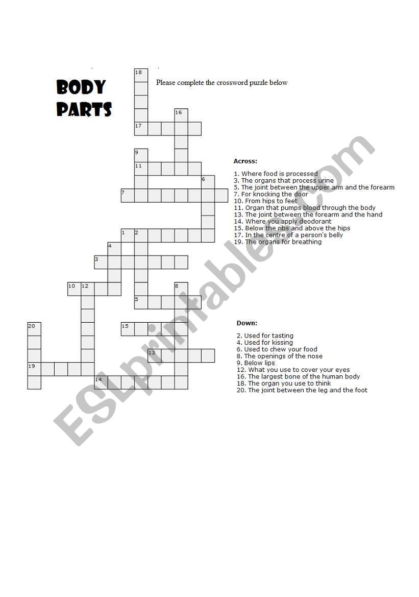 Body Parts Crossword worksheet