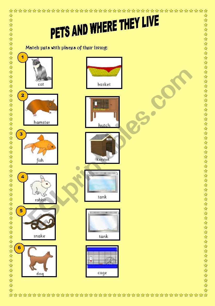 pets and where they live worksheet