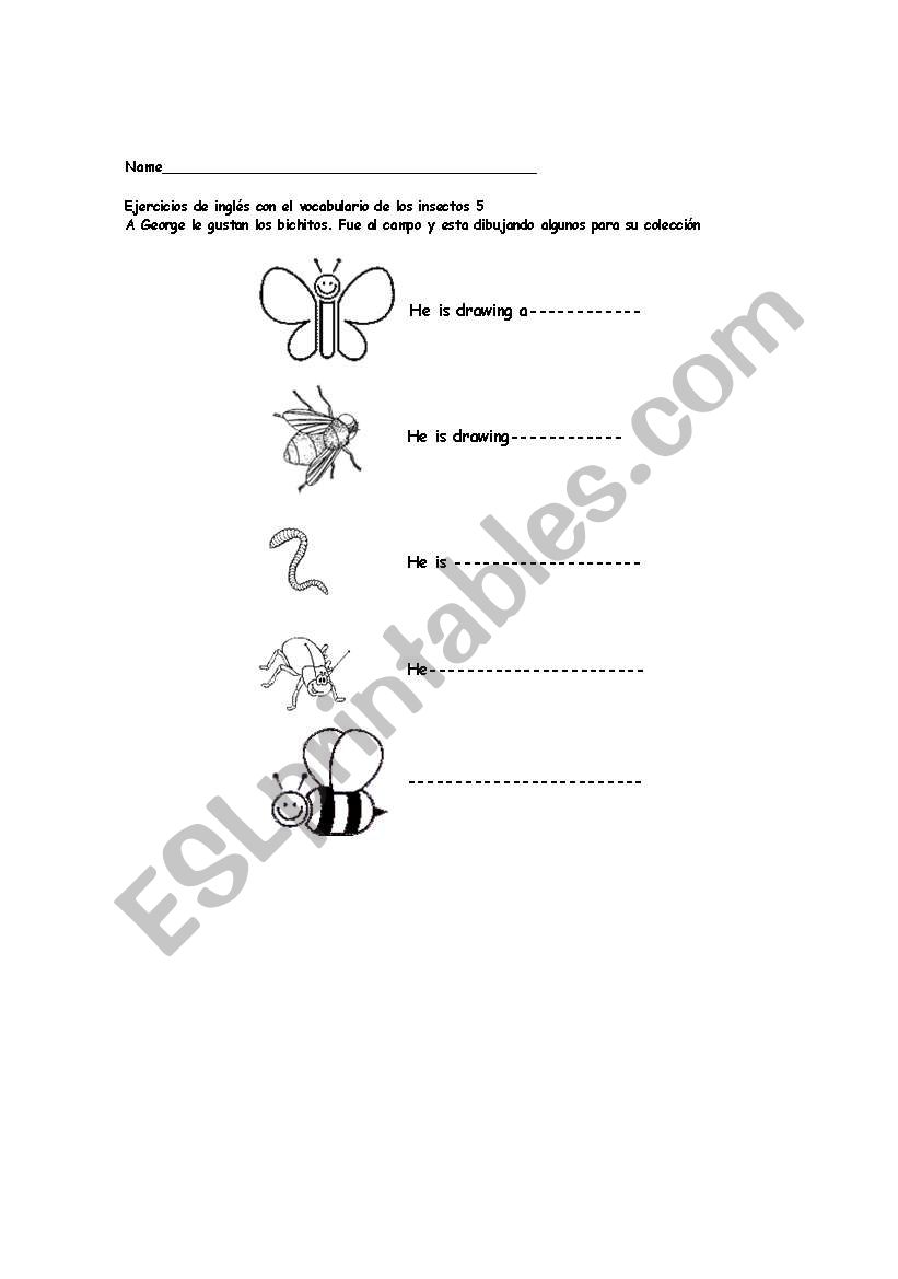 insects worksheet