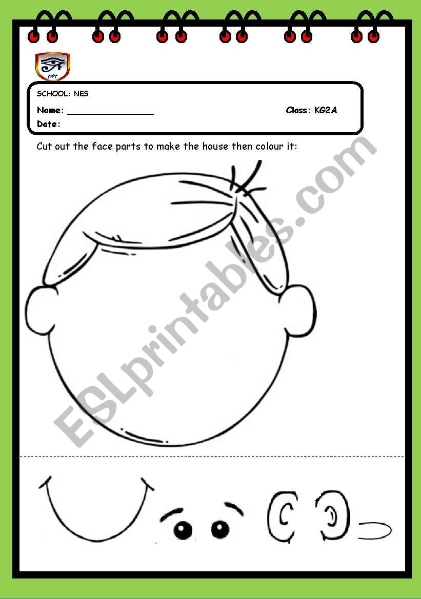 face parts worksheet