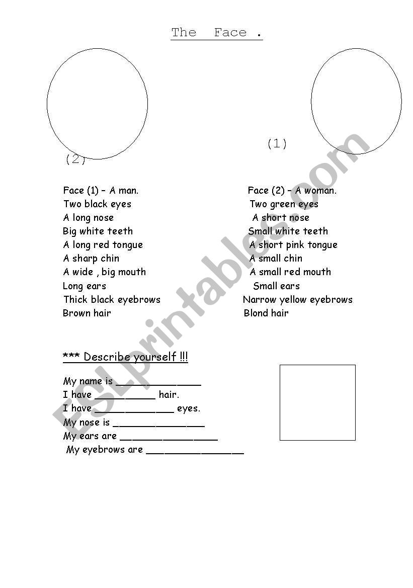 The face worksheet