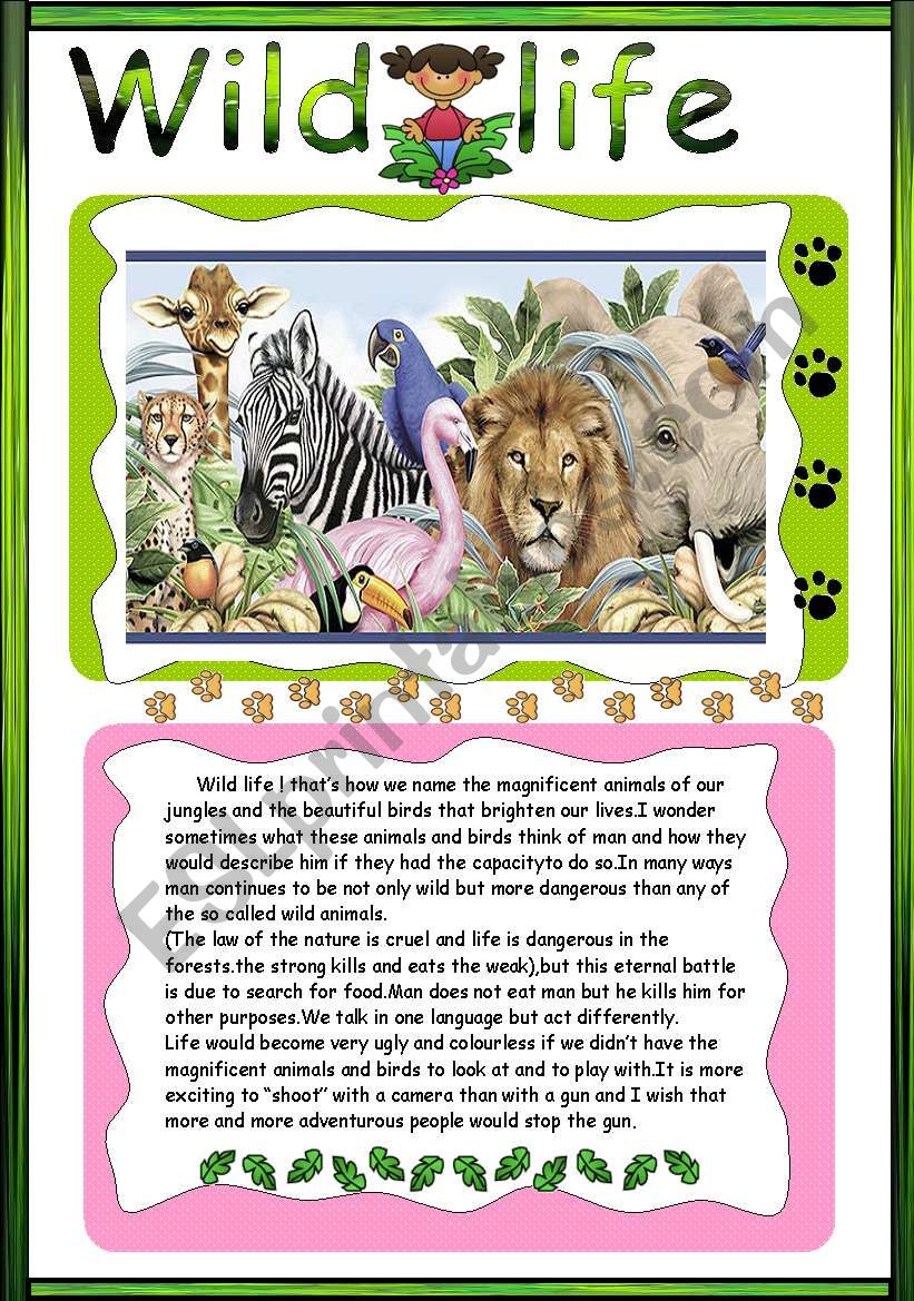 Wild life worksheet