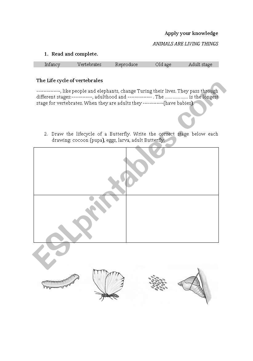 ANIMALS ARE LIVING THINGS worksheet