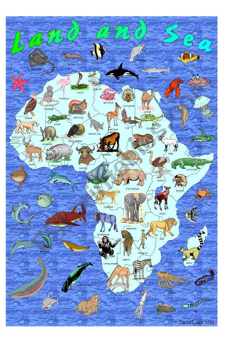 I Spy Land and Sea: African Animals and Ocean Creatures
