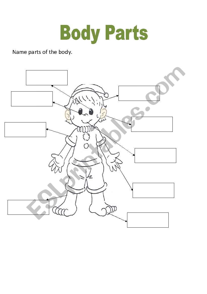 body parts worksheet