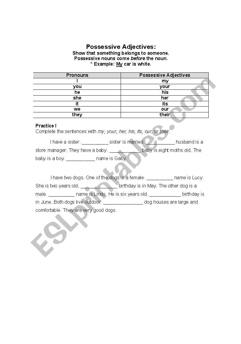 Possessive Adjectives worksheet