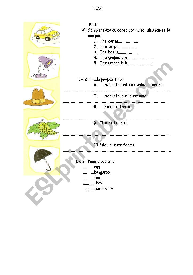 Colour worksheet worksheet