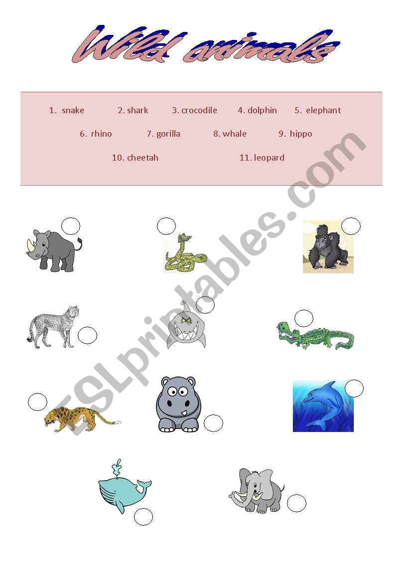 wild animals worksheet