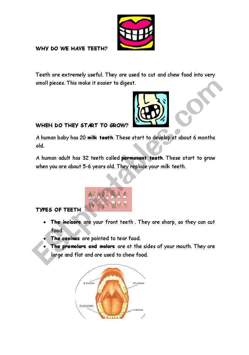 Our teeth. Explanation and exercises.