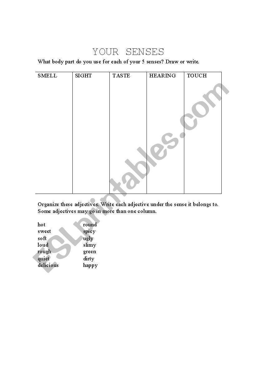 Your Senses worksheet