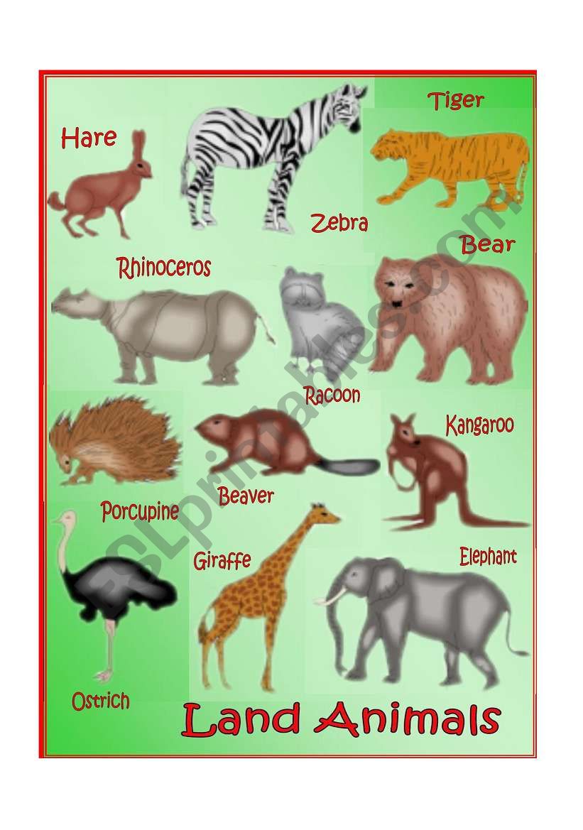 English Worksheets Land Animals