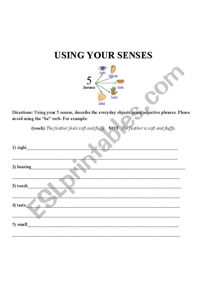 Using your senses worksheet