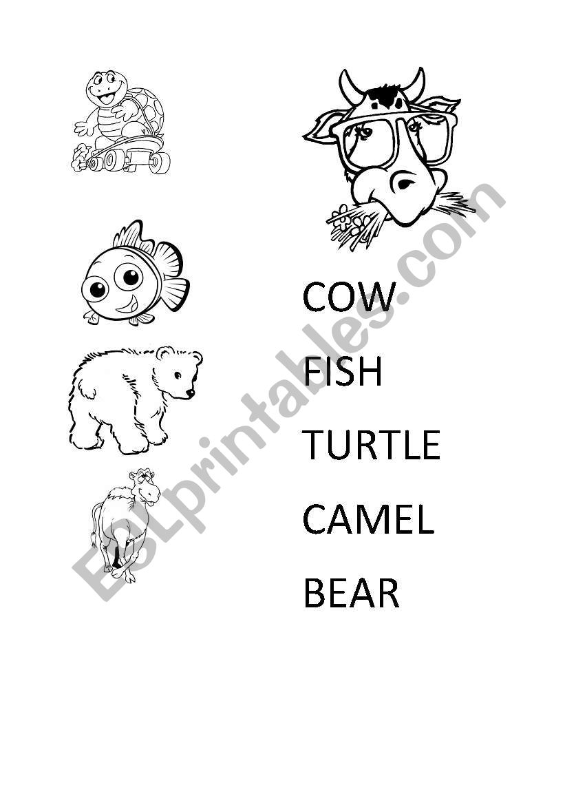 ANIMALS worksheet