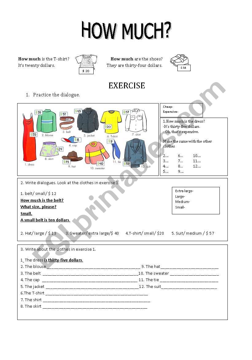 HOW MUCH worksheet