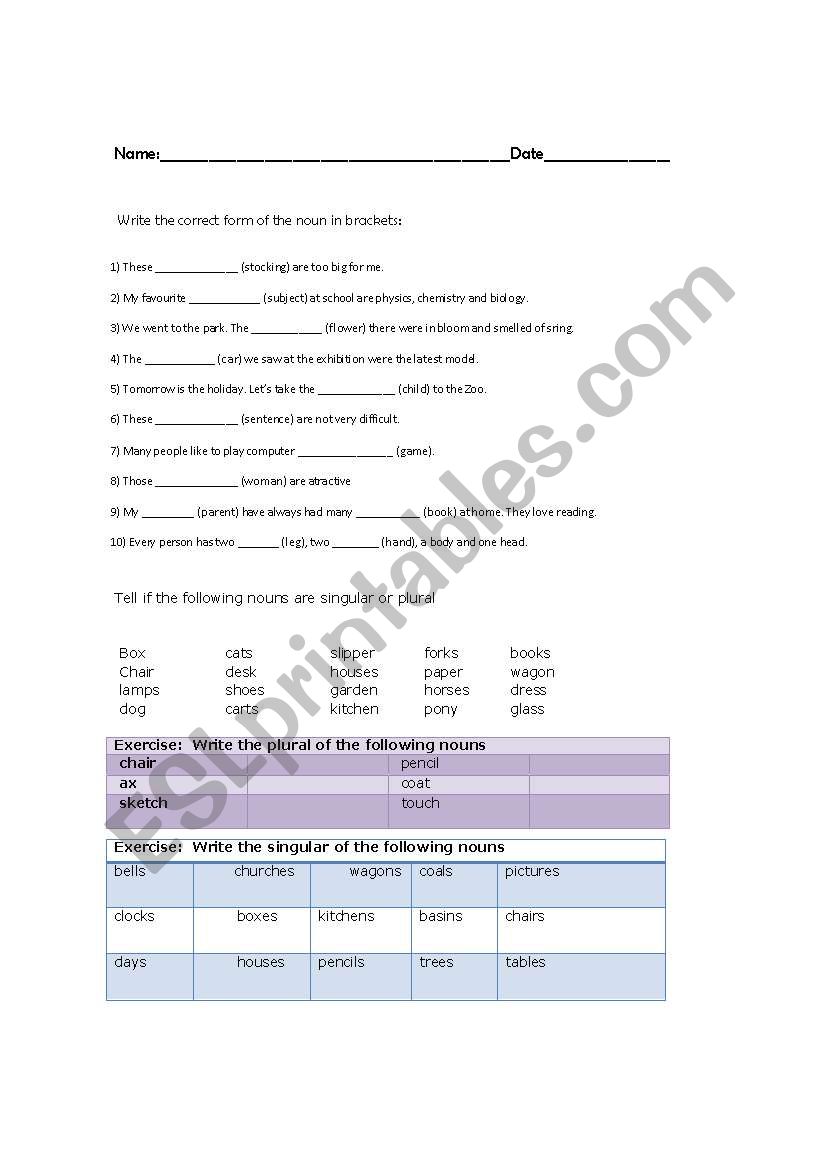 plural and singular test worksheet