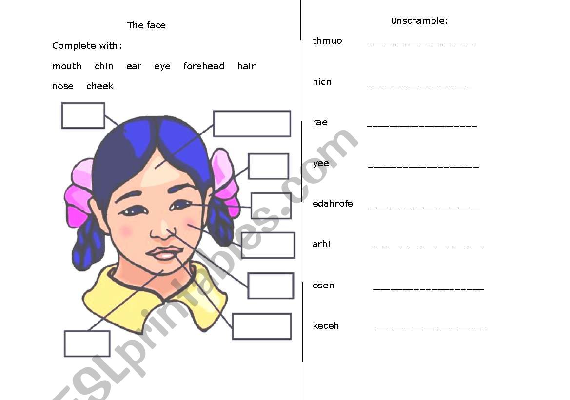 Face worksheet