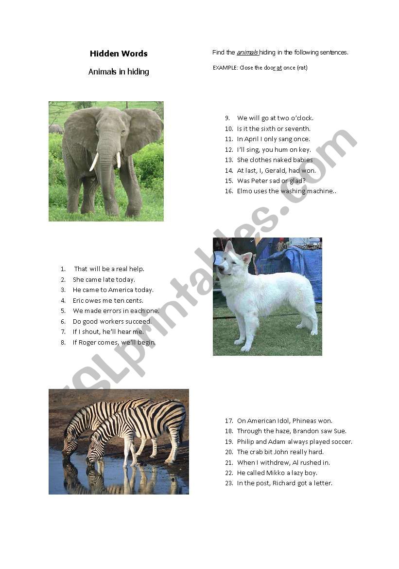 Vocabulary - Aminals (Hidden Words)