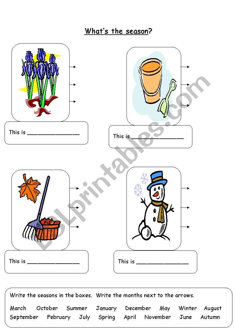 Seasons and Months worksheet