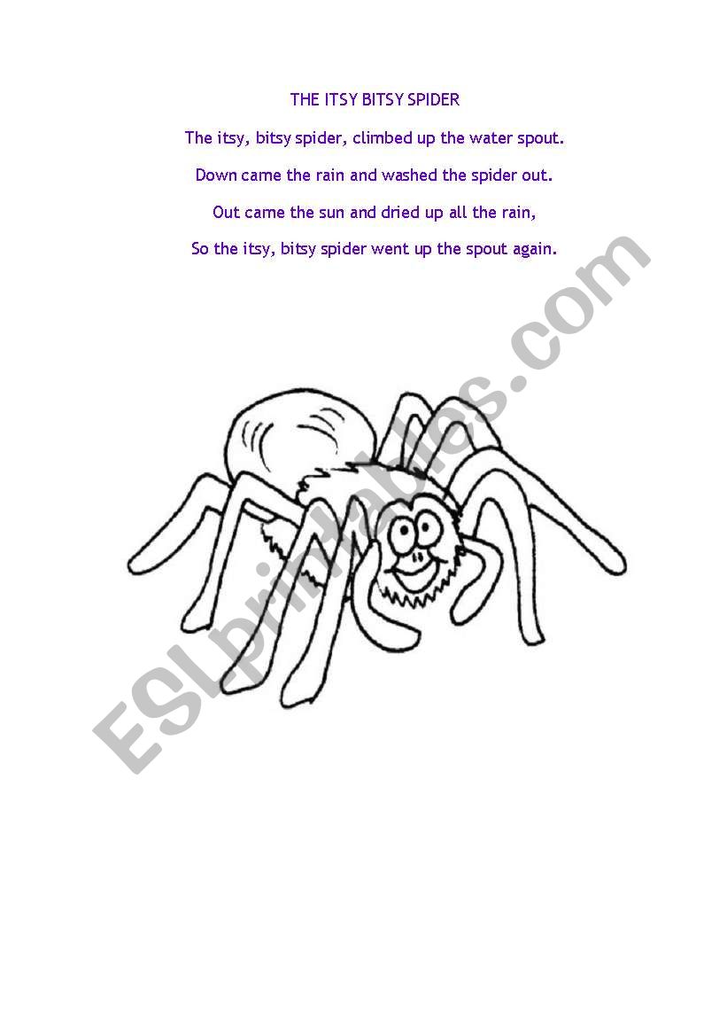 The Itsy Bitsy Spider Song worksheet