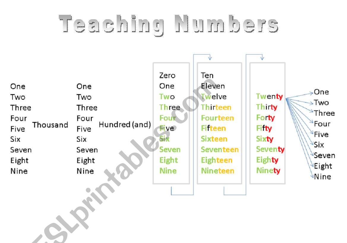 teaching Numbers worksheet