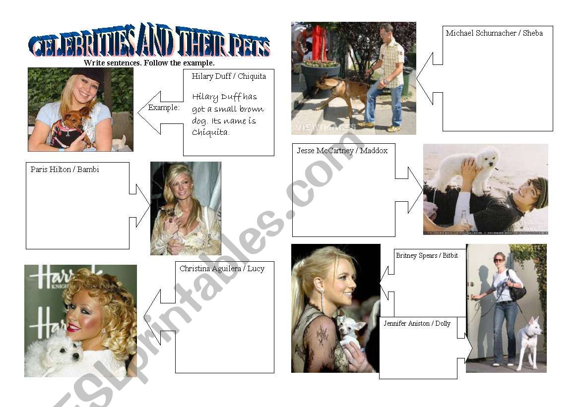 Celebrities and their Pets worksheet