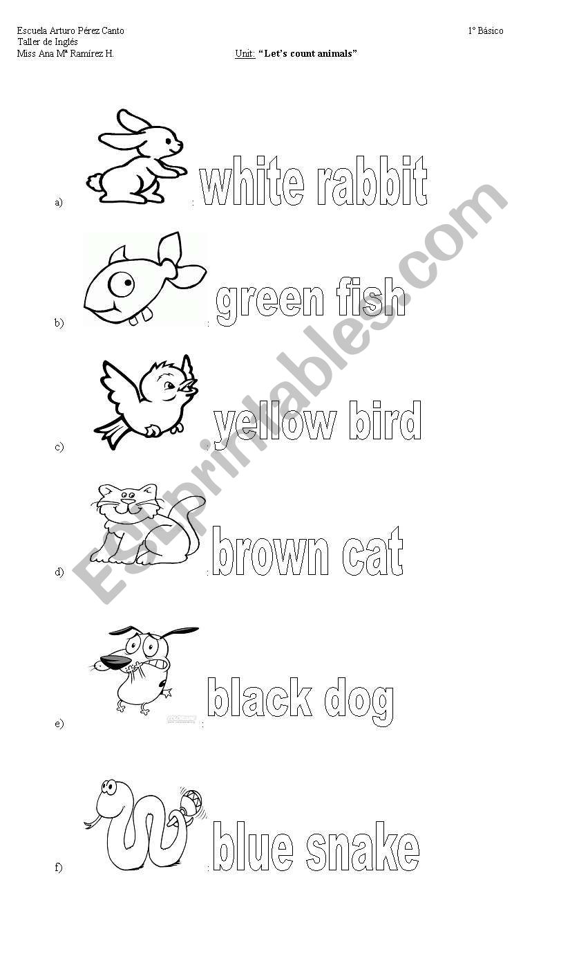 animals worksheet