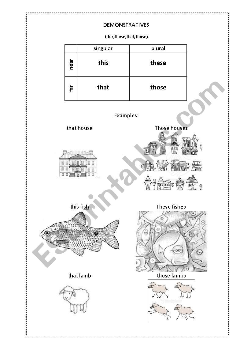 DEMONSTRATIVES SUMMARY worksheet