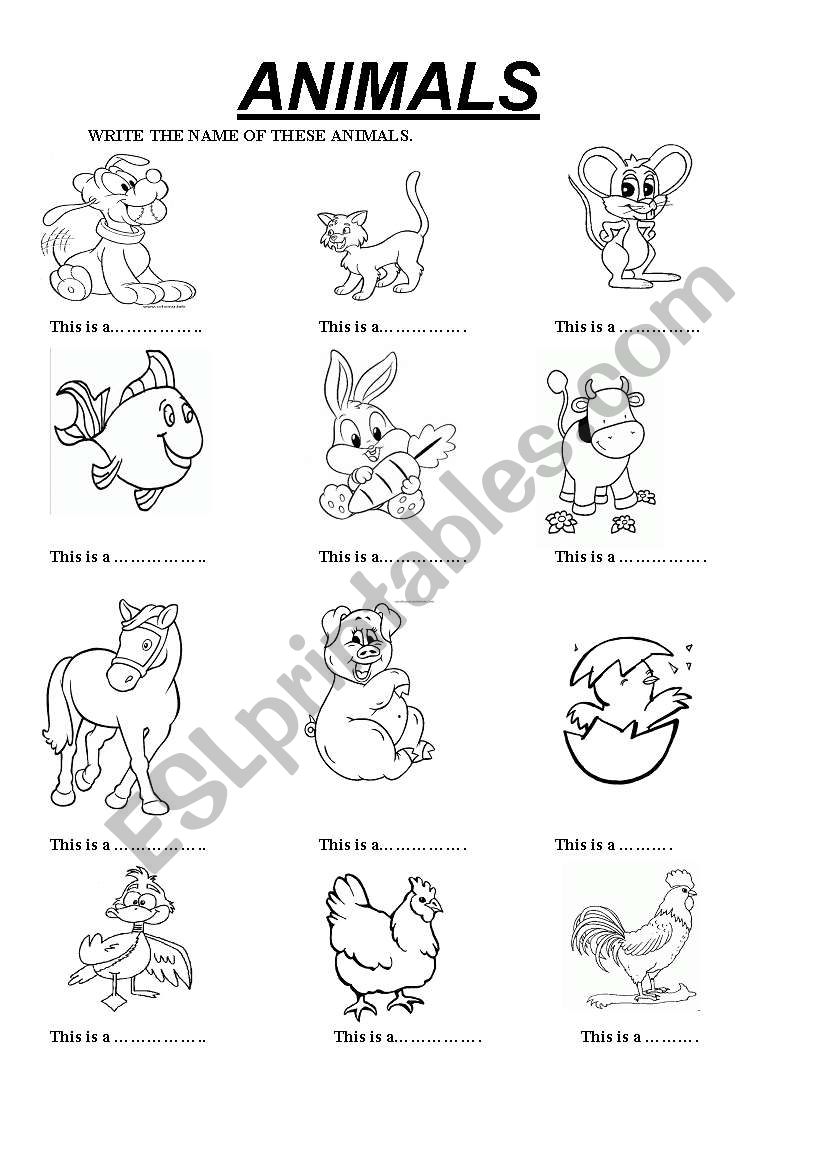 ANIMALS worksheet