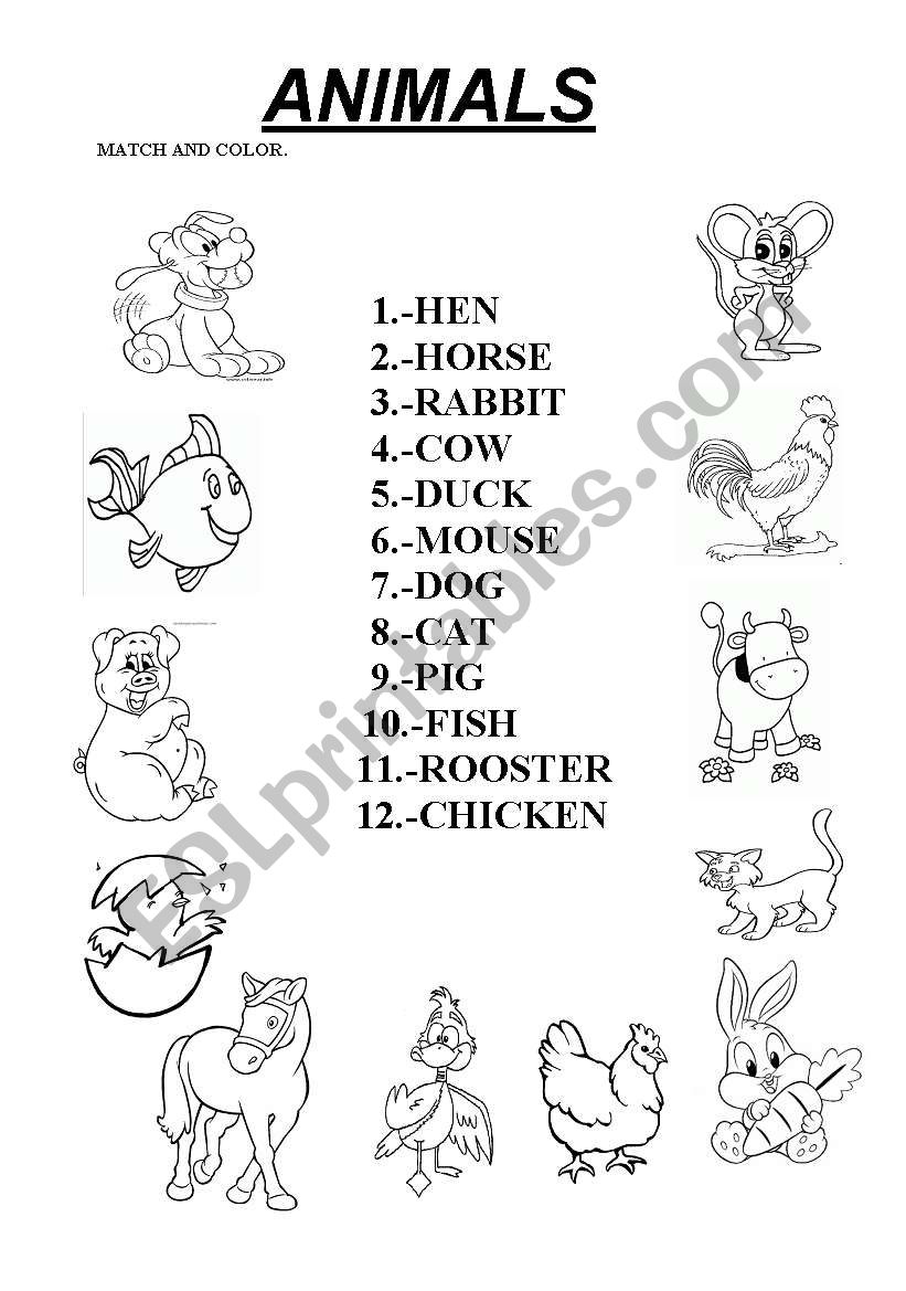 ANIMALS worksheet