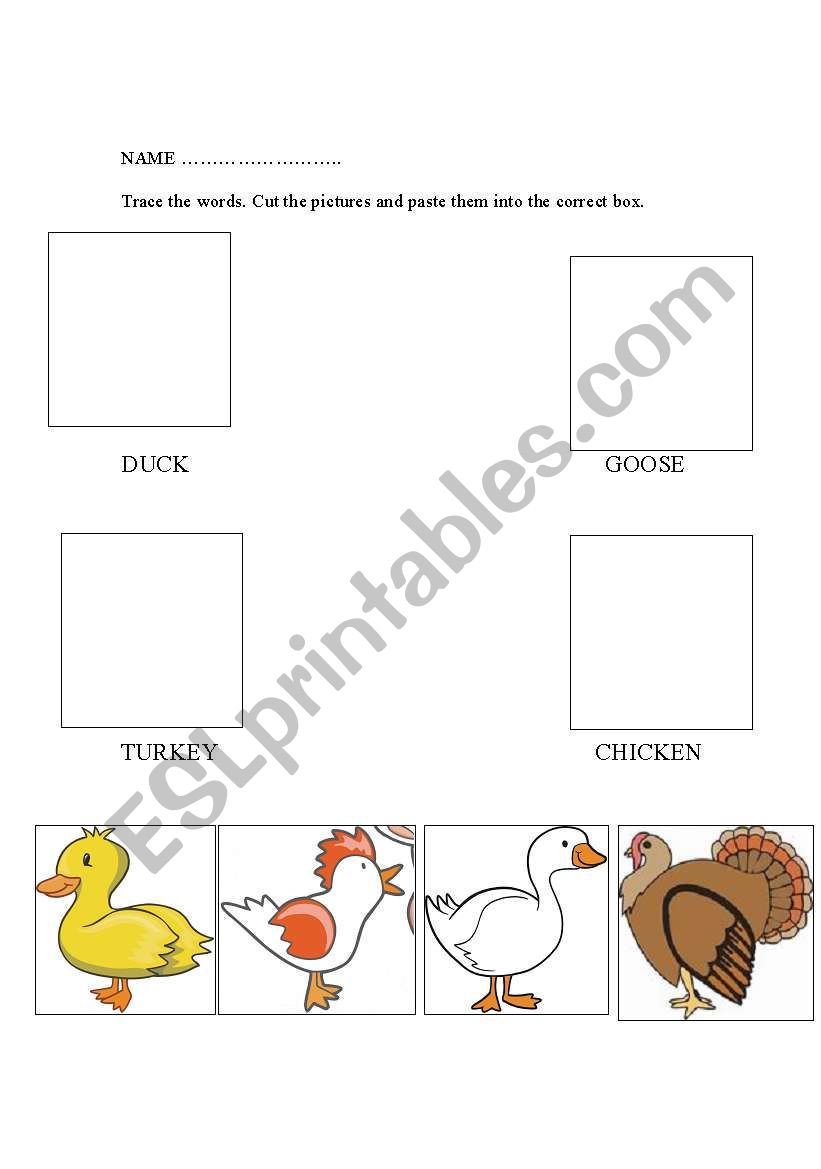 cut and paste farm animals worksheet