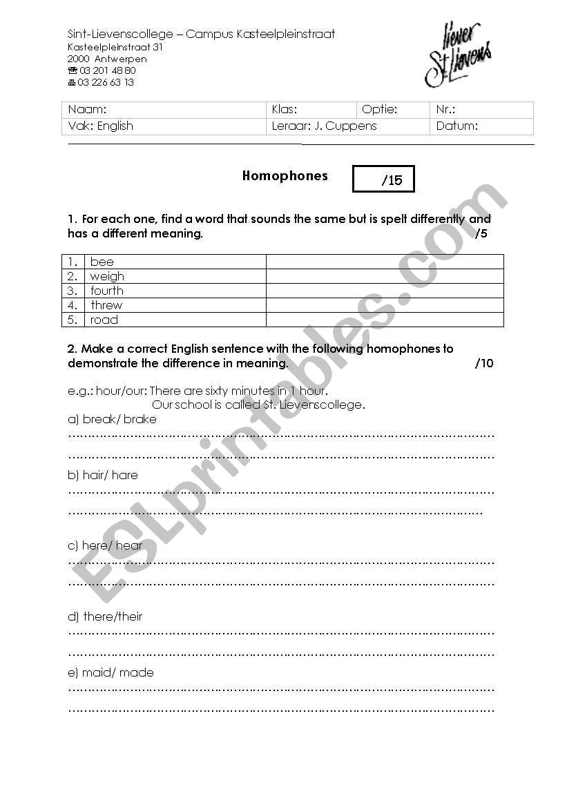 Test Homophones worksheet