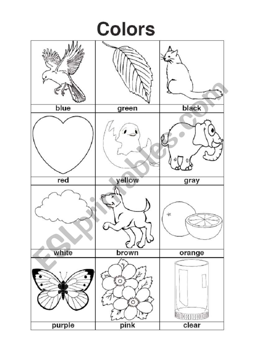 Colors worksheet