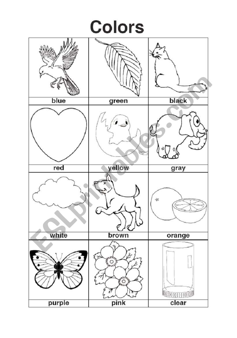 Colors worksheet