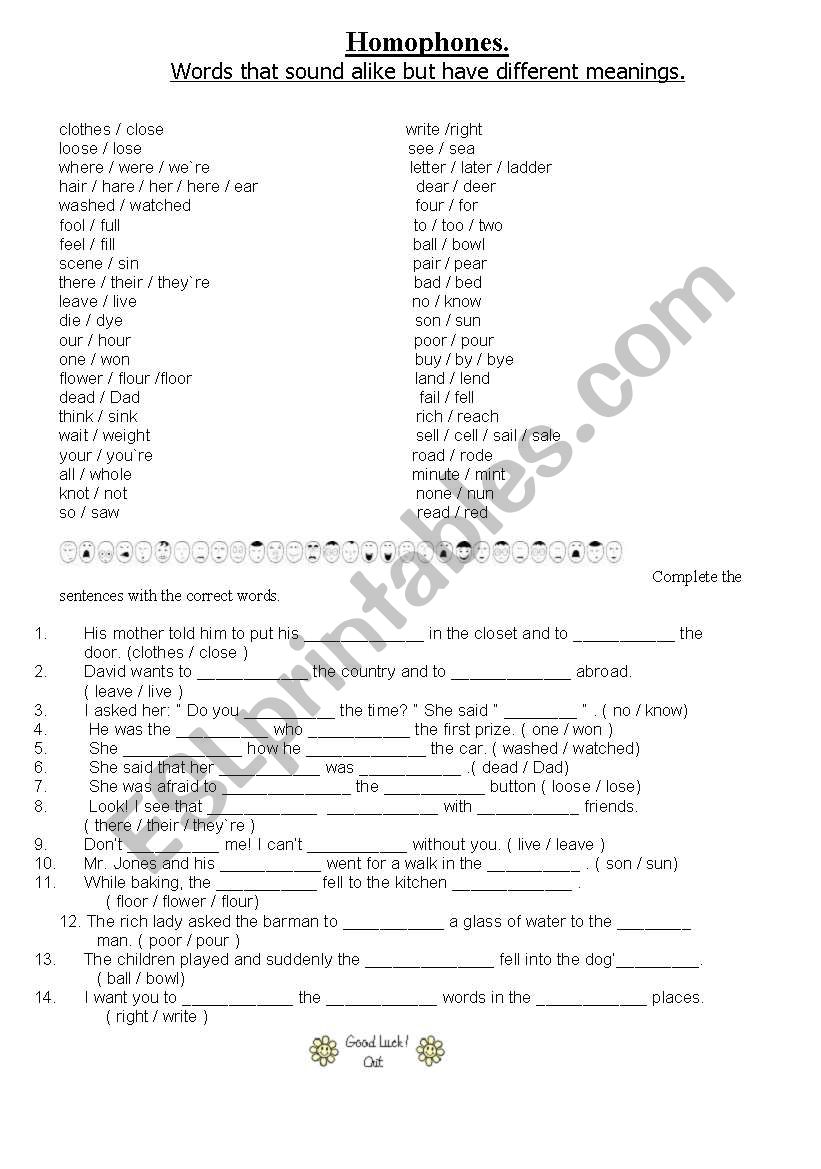 Homophones worksheet