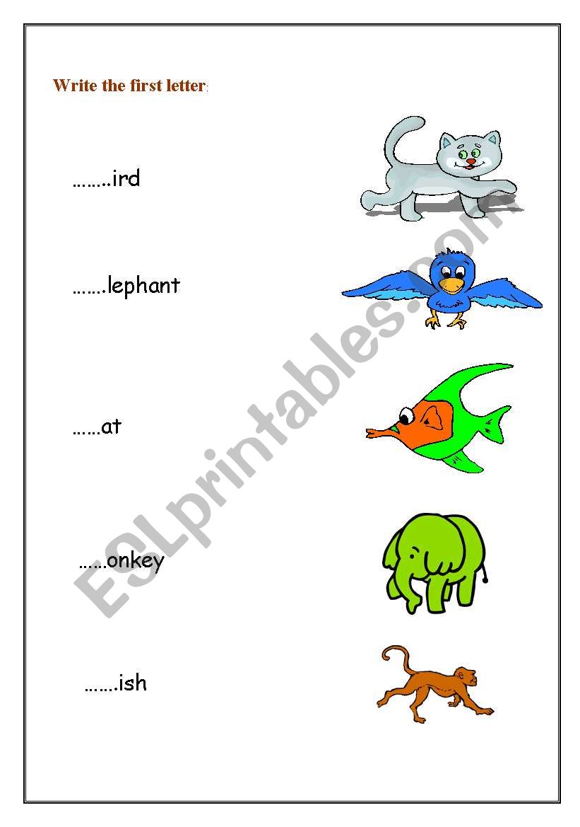 animals worksheet