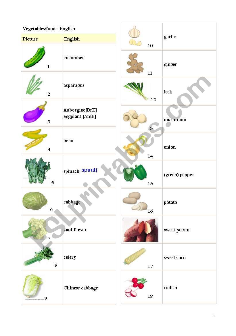 vegetables and food vocabulary